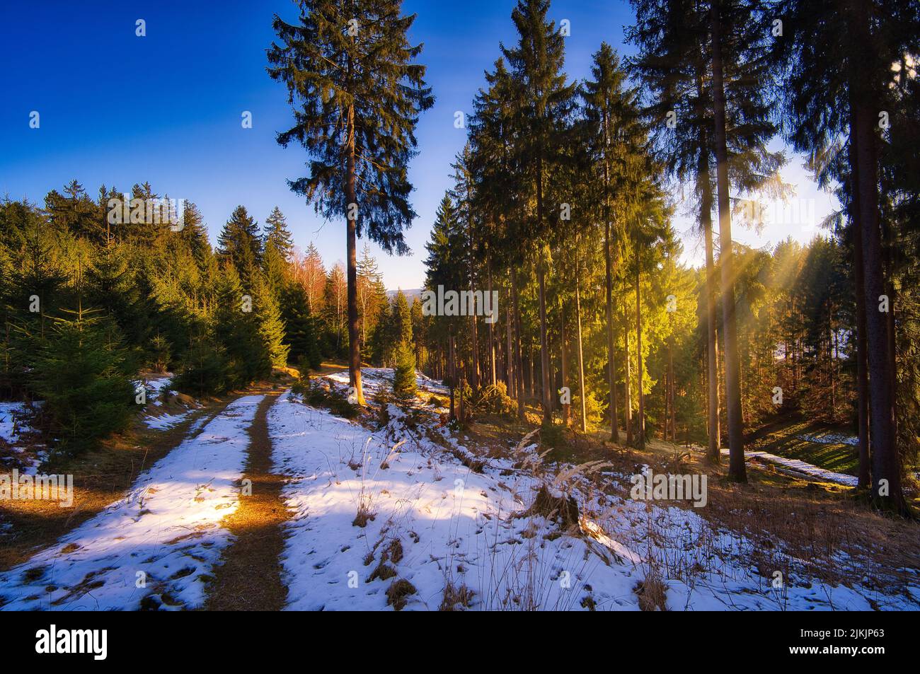 The Thuringian Forest with melting snow, sun rays coming between the tall trees, Germany Stock Photo