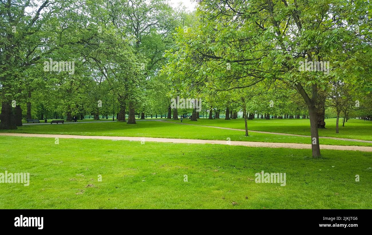 A view of some trees in the well-groomed park in the daytime. Stock Photo