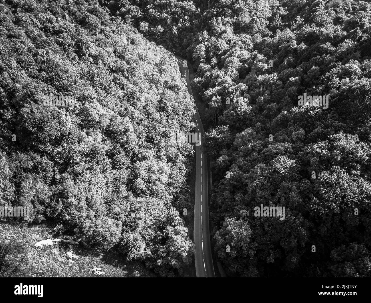 A Bird's-eye view of the winding road through the forest and mountains ...