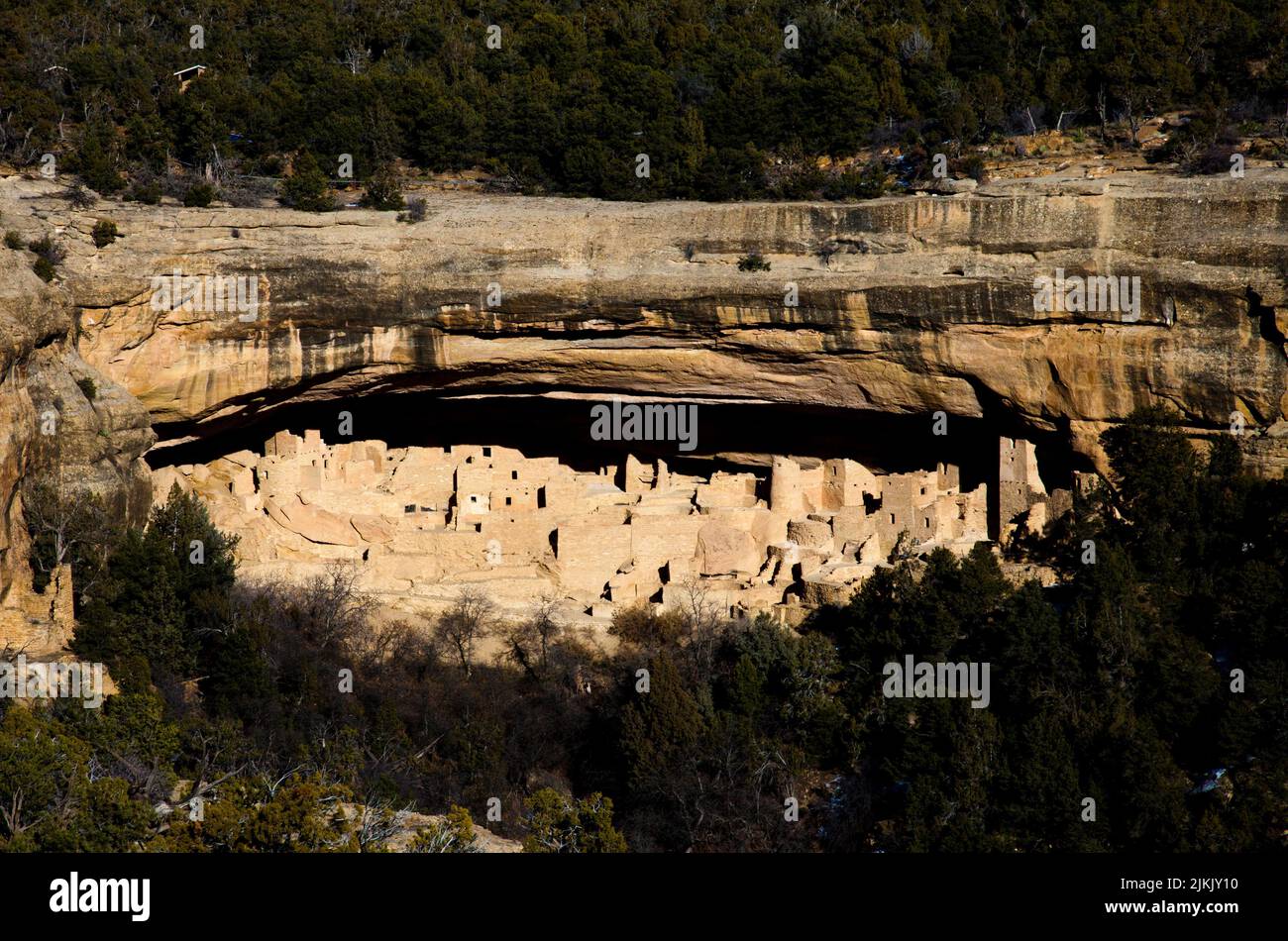 Cliff Palace view point overlooks cliff dweller ruins. Mesa Verde National Park Museum, Colorado Stock Photo