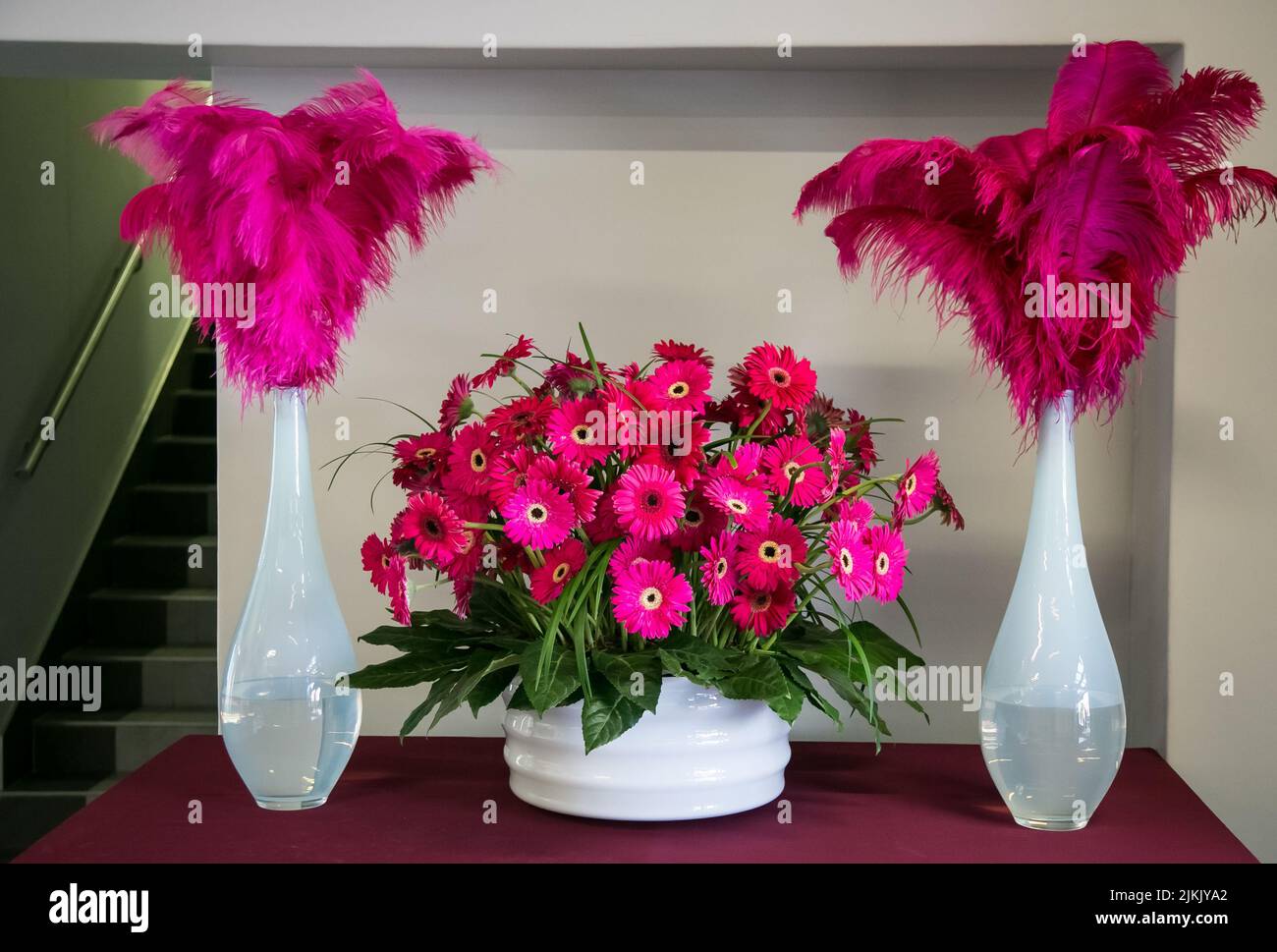 Pink feather feathers hi-res stock photography and images - Page 2 - Alamy