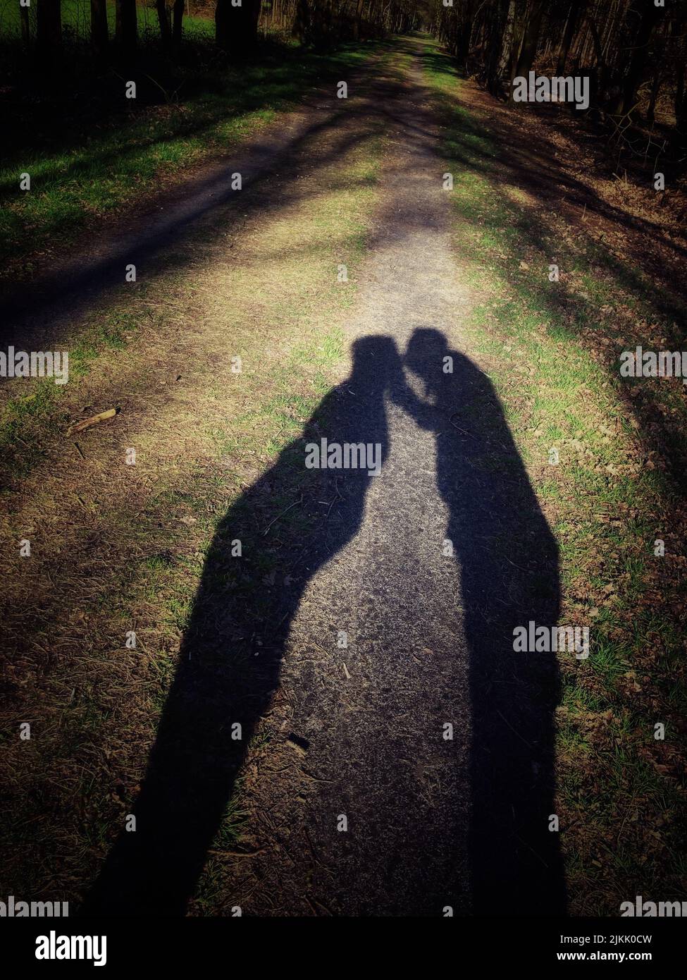 A shadow of a kissing couple on the trail in a forest Stock Photo