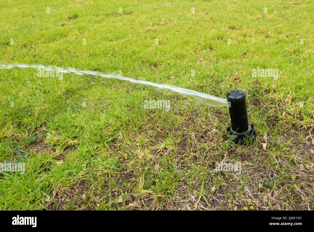 Automatic sprinkler watering golf course. Stock Photo