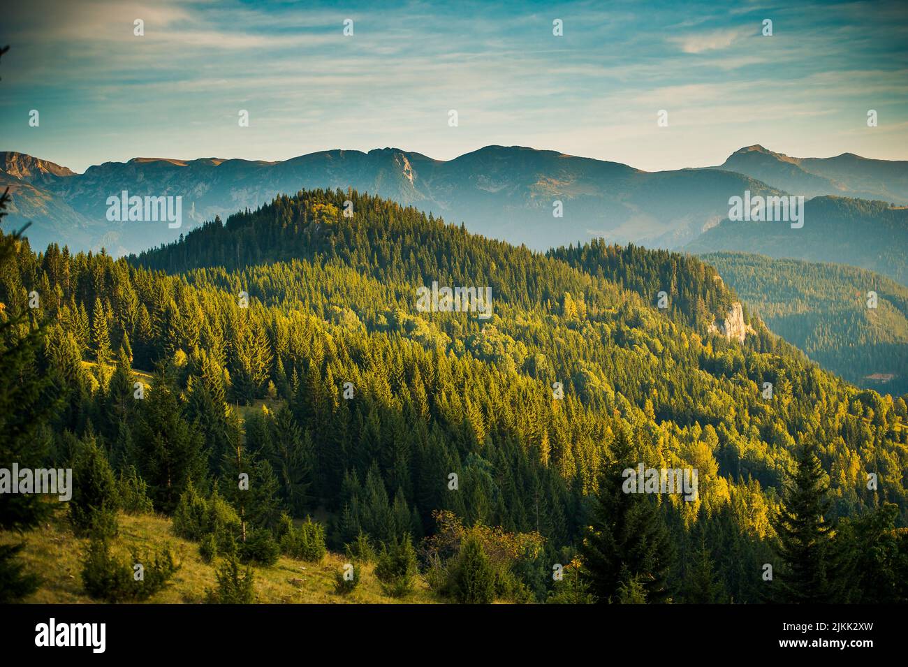 An aerial landscape view of forest trees with green mountains, and blue ...