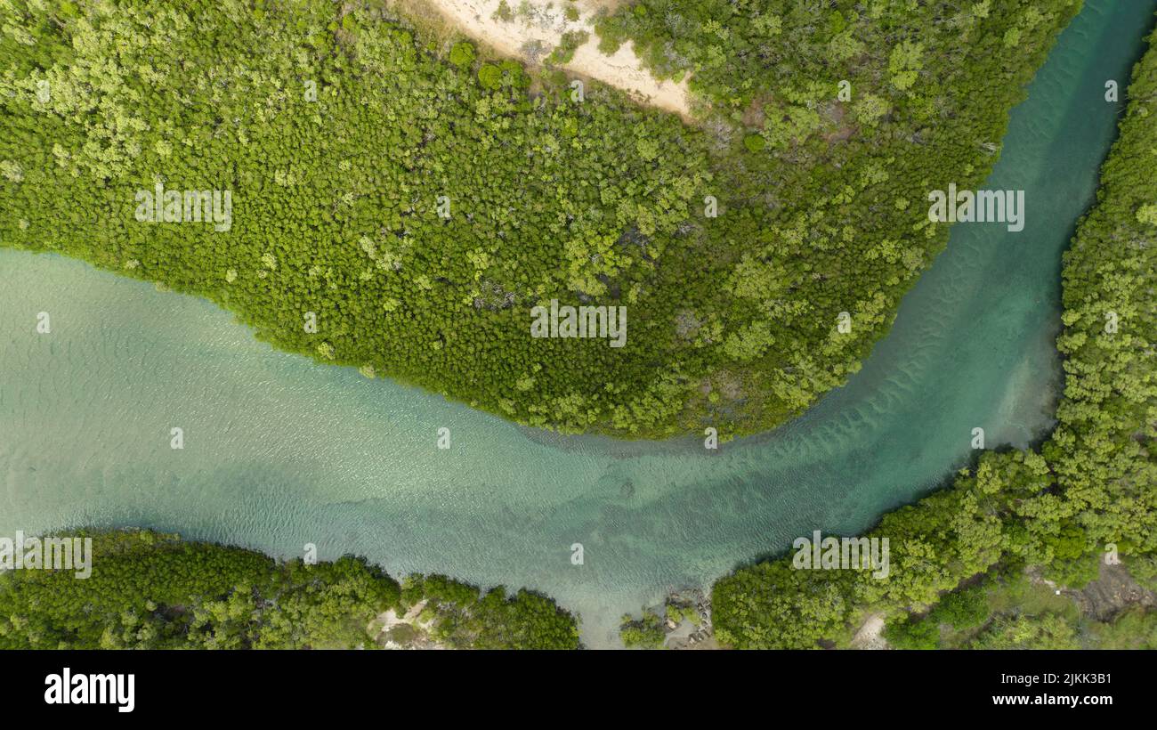 An aerial view of a beautiful river in the middle of a green landscape ...