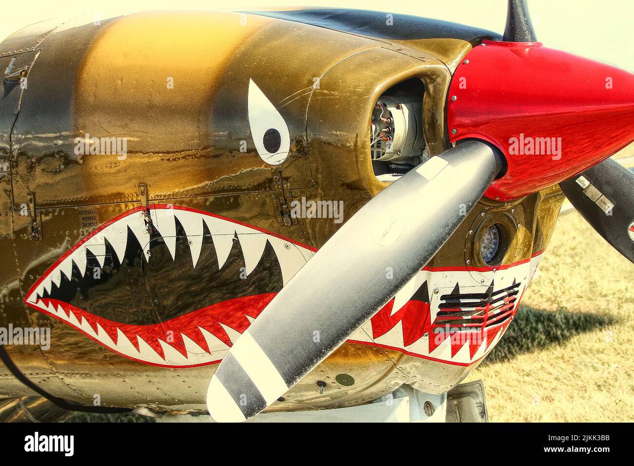 A close shot of the distinctive sharkteeth paint Warhawk aircraft at the Planes of Fame Airshow