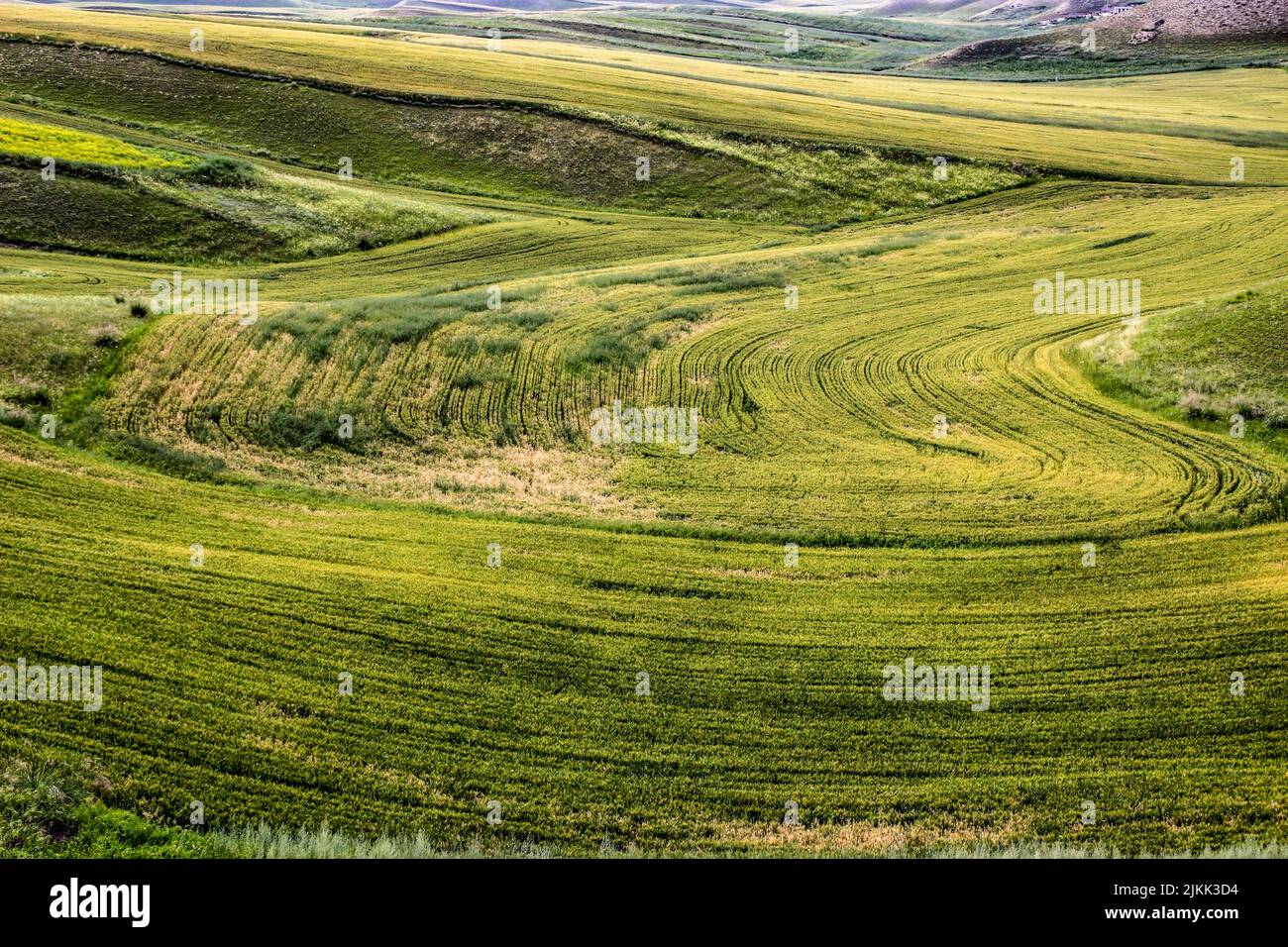 An aerial view of the Wheat fields in Turks in the Ili River Valley ...