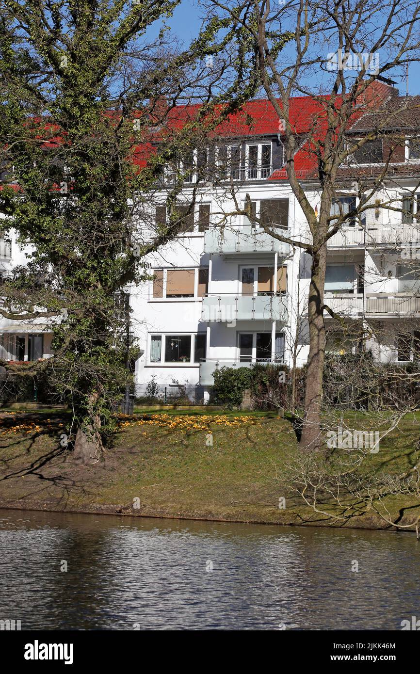 Wohnhäuser, Mehrfamilienhäuser mit kahlen Bäumen m Winter, Bremen Stock Photo