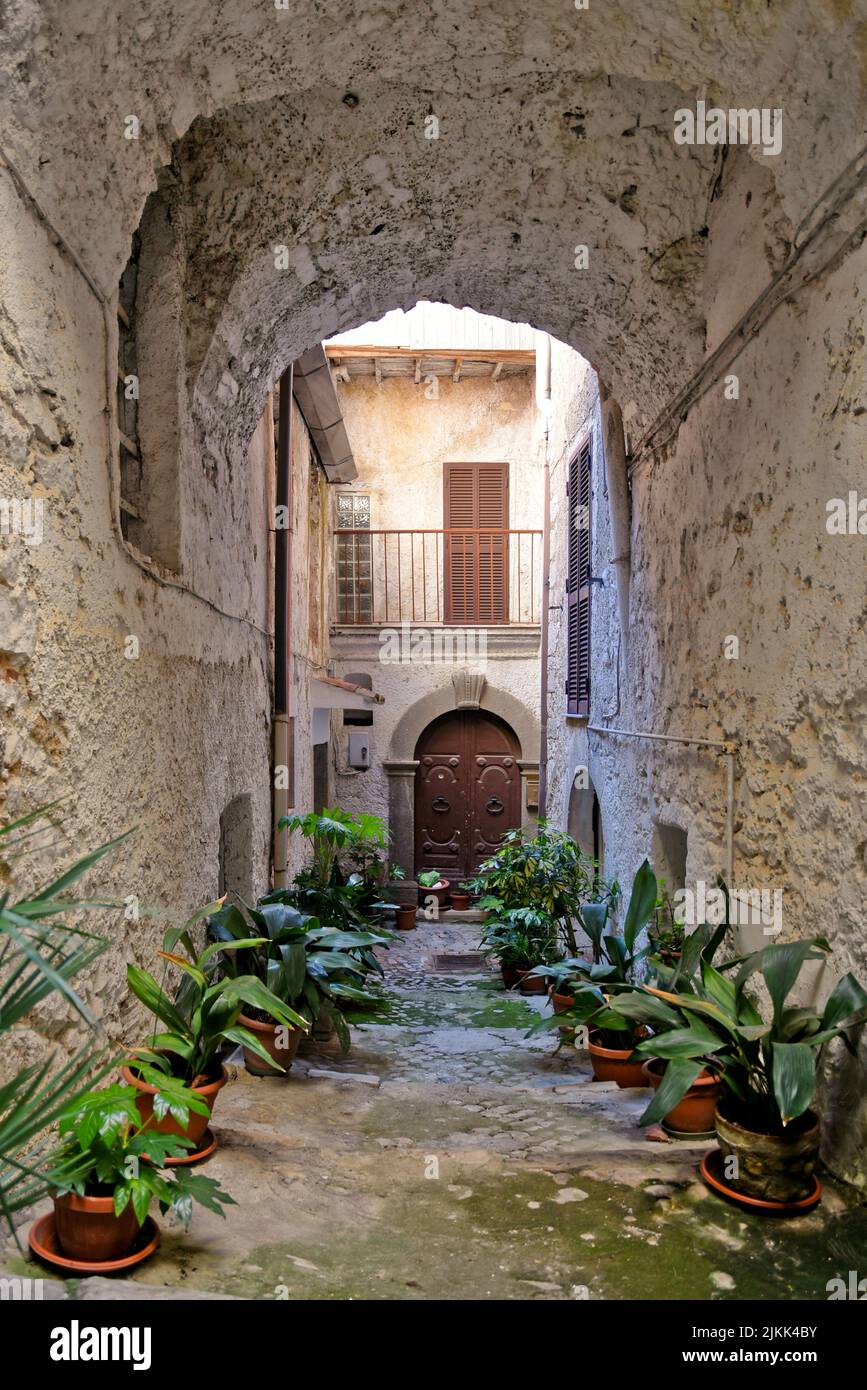 A vertical shot of a narrow cobblestone corridor path between old ...