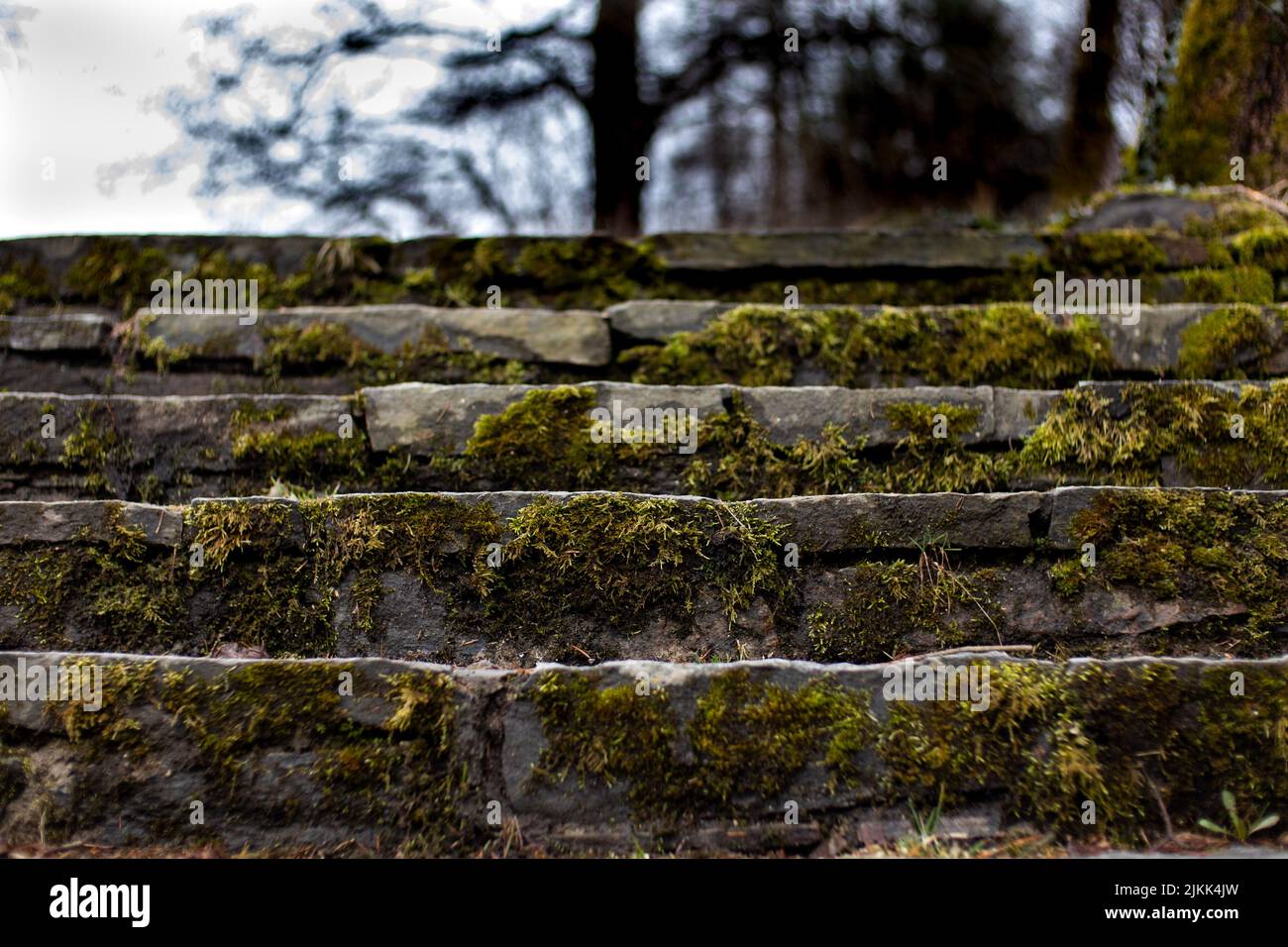 Stairs texture hi-res stock photography and images - Alamy