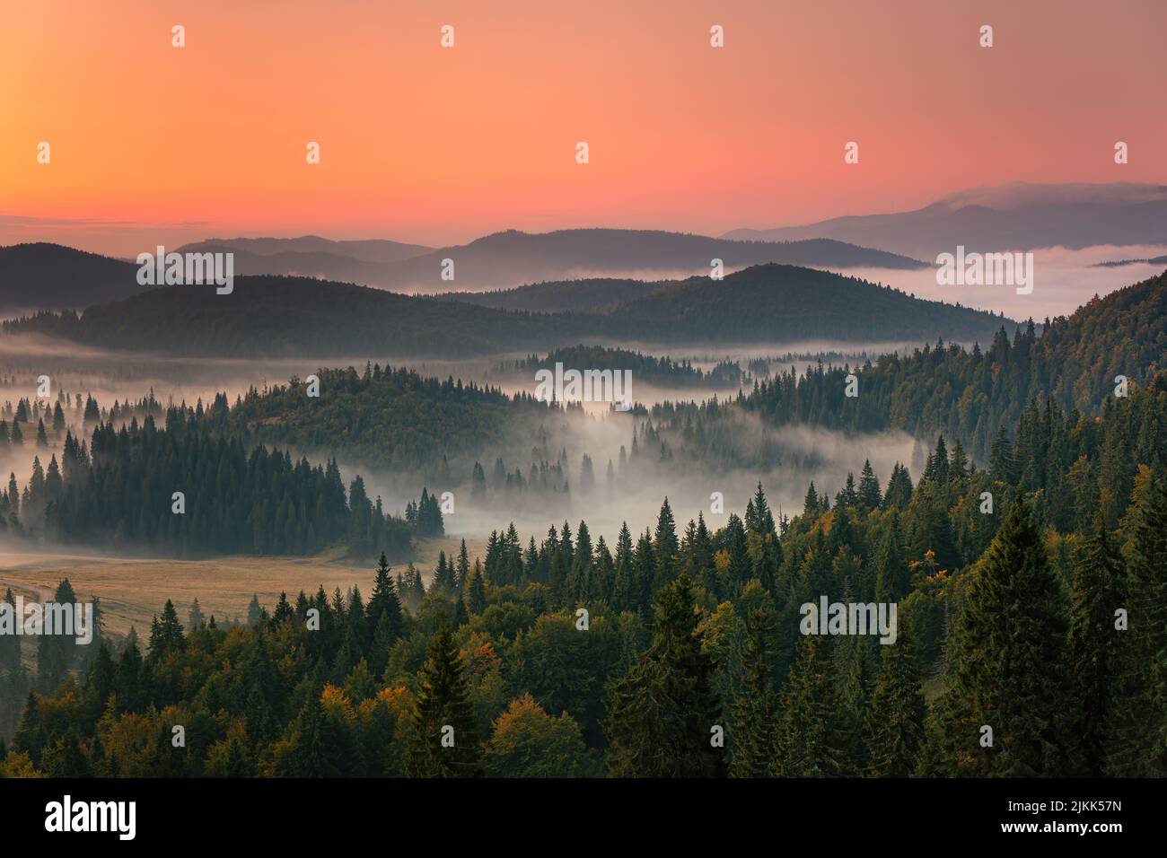 The beautiful landscape with pine trees forest and hills at sunset ...