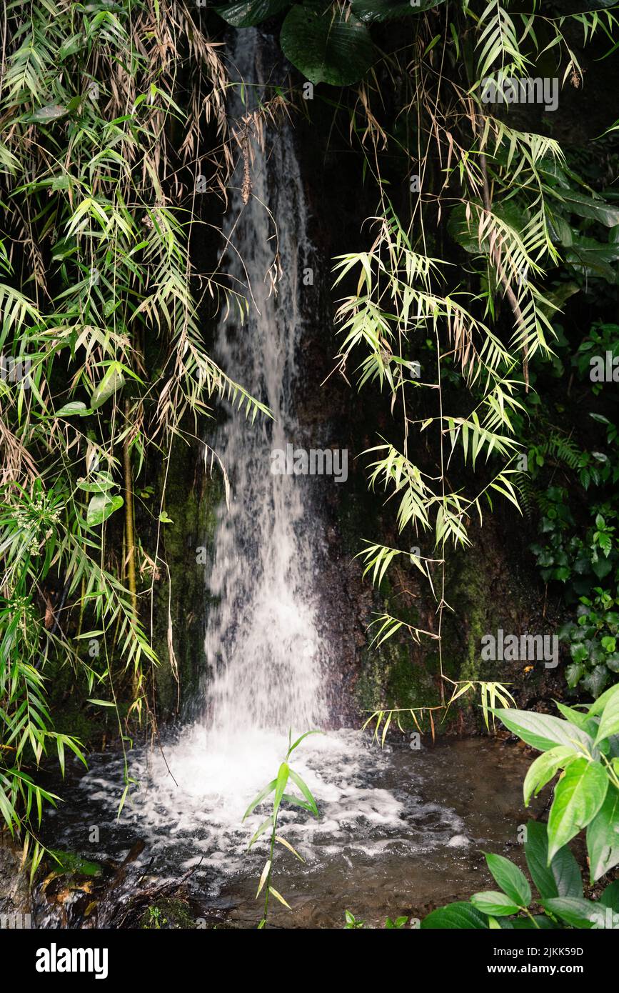 The beautiful nature of Colombia Stock Photo - Alamy