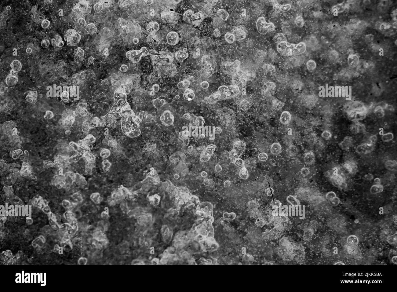 A grayscale shot of particles under the microscope Stock Photo - Alamy