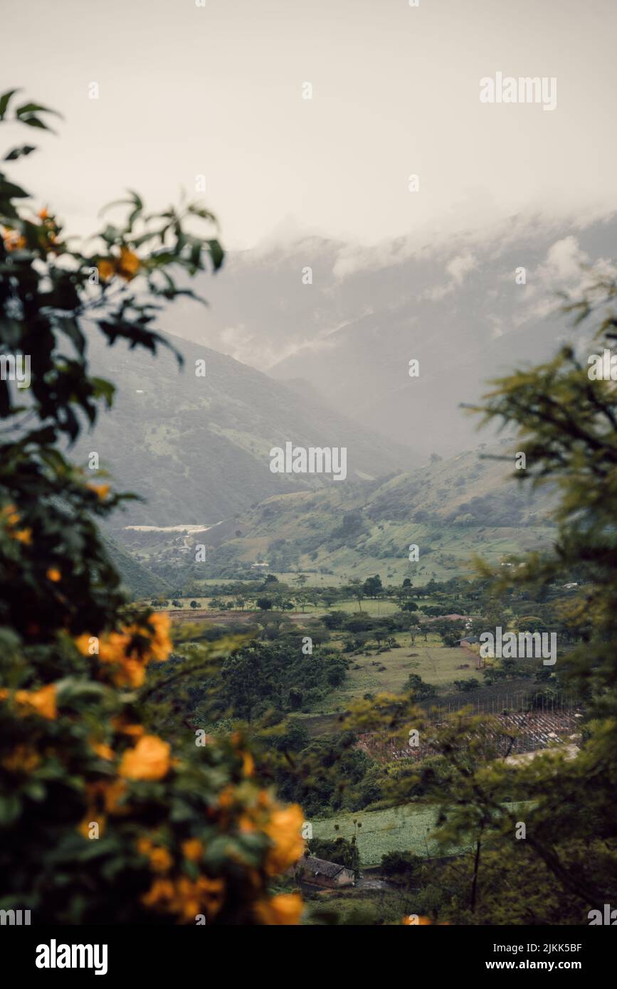 The beautiful nature of Colombia Stock Photo - Alamy