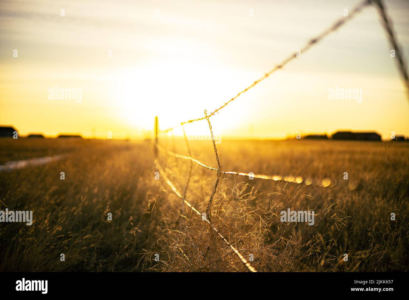 A fence with barbed wires in the bright background of sunrise Stock ...
