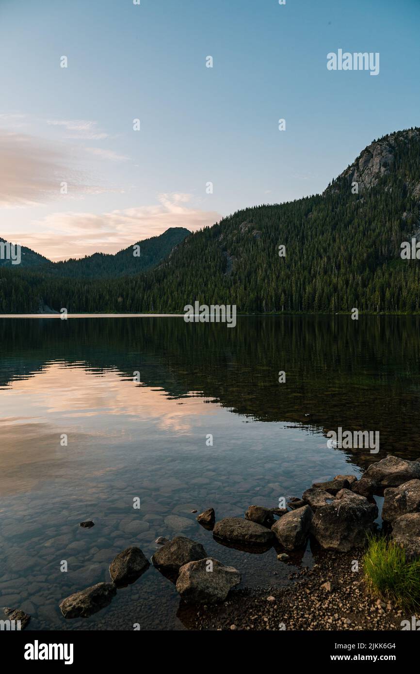 Vertical shot of a calm lake on a foggy day Stock Photo - Alamy