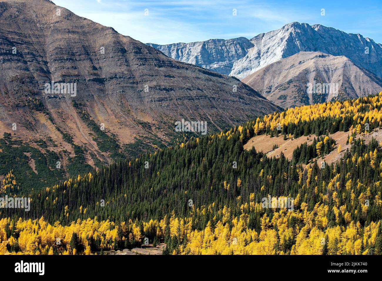 A scenic view of the mountains and hills covered with green and yellow trees under the clear sky Stock Photo