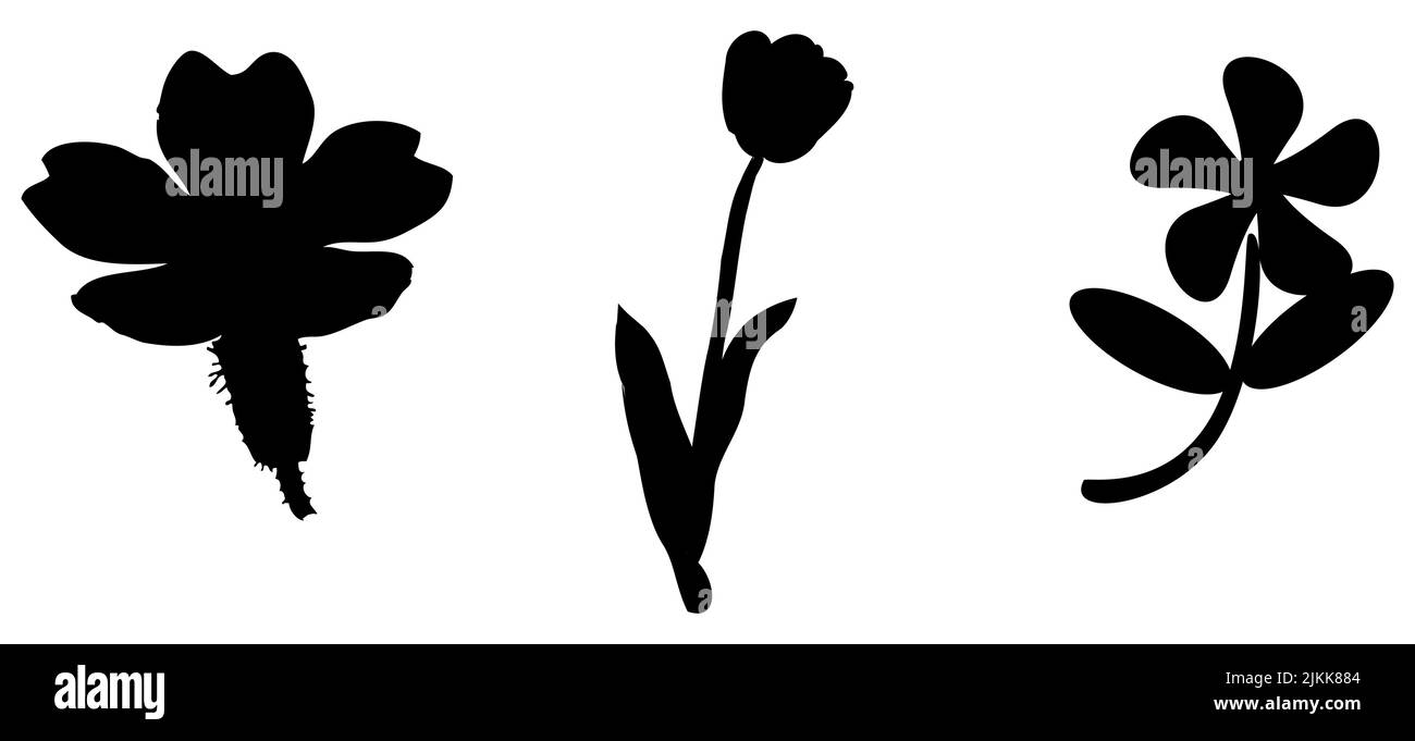 Set of black silhouettes of flowers, rose, tulip, Lilly, and trumpet flowers isolated on white background Stock Vector