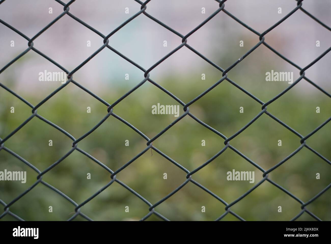 Mesh metal fence hi-res stock photography and images - Page 2 - Alamy