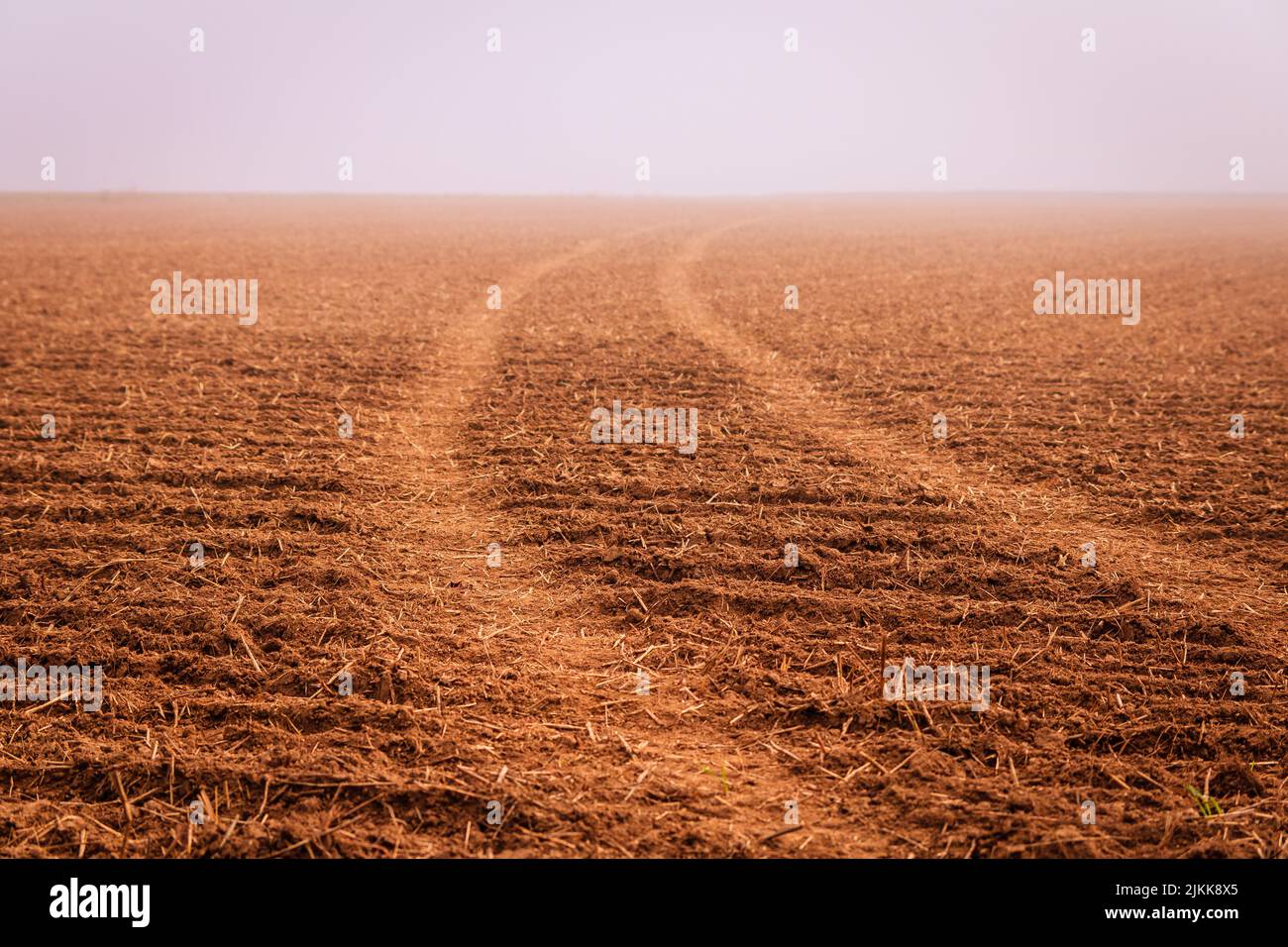 A natural view of truck wheel marks on a plowed agricultural field during a foggy day Stock Photo