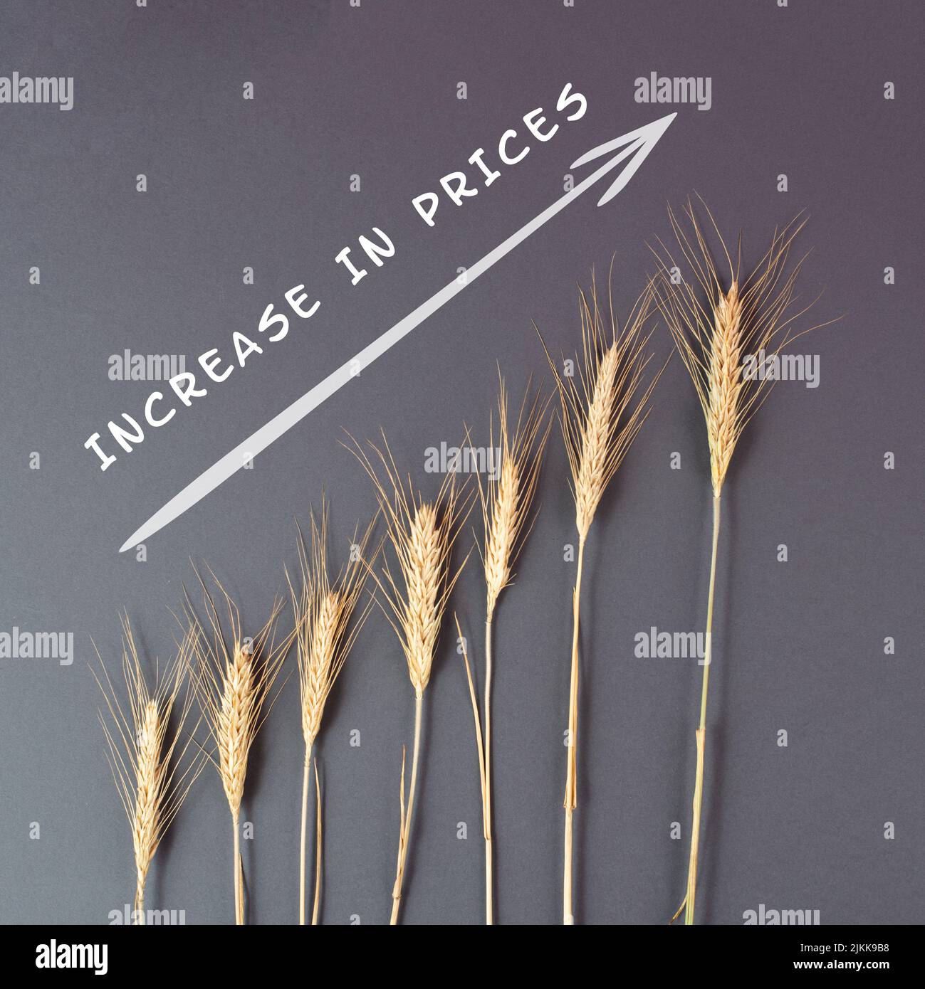 Food crisis with increasing prices and shortages, wheat ears on a brown background, supply chain problems, inflation causes high living costs Stock Photo