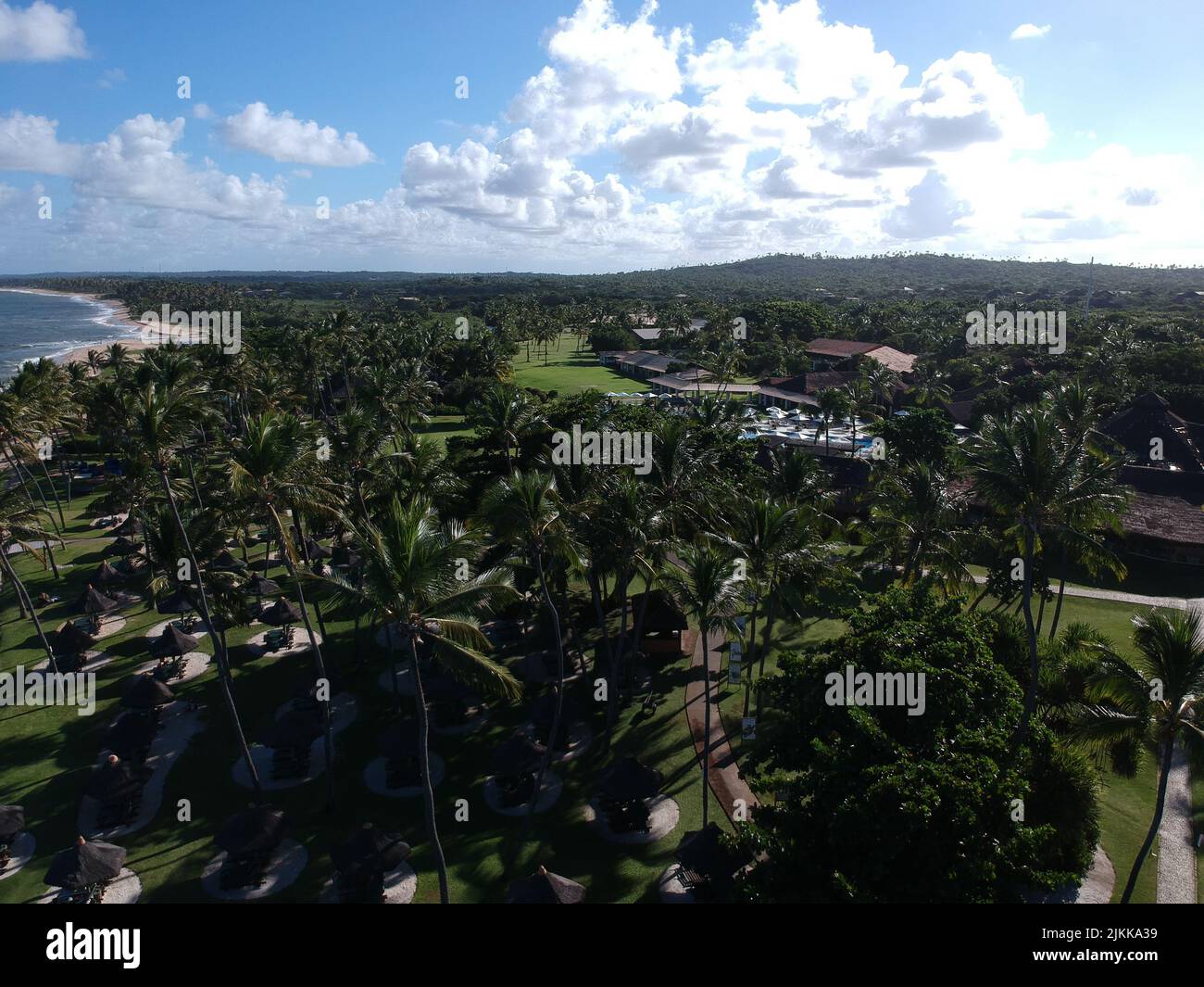 Aerial sand beach palm trees hi-res stock photography and images - Alamy