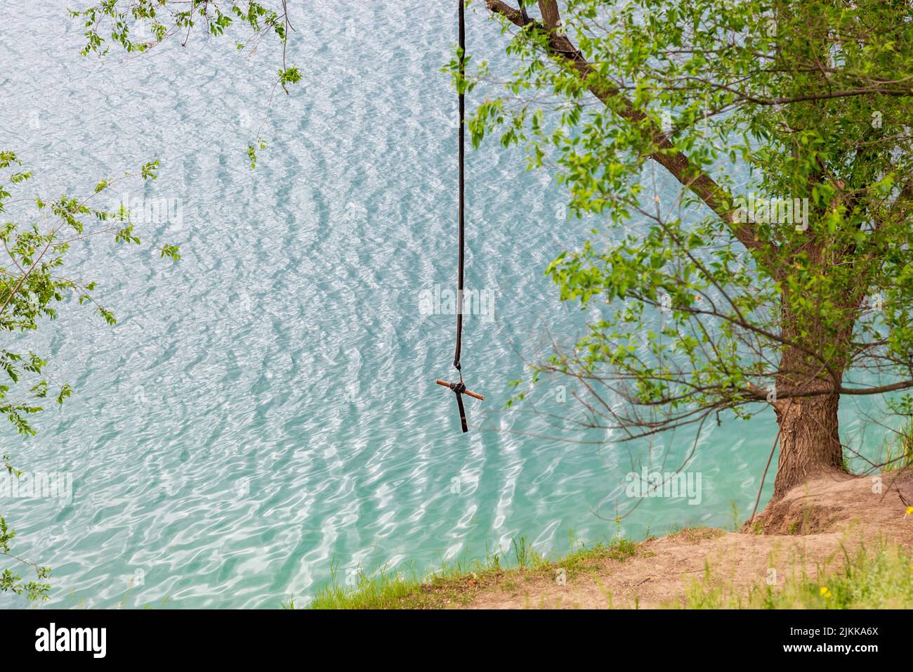 Landscape with bungee on a tree by the lake Stock Photo - Alamy
