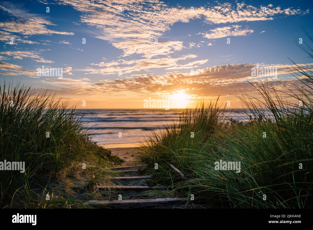 A path framed by overgrown grass, leading to a beach in Christchurch, New Zealand, beautiful sunset Stock Photo