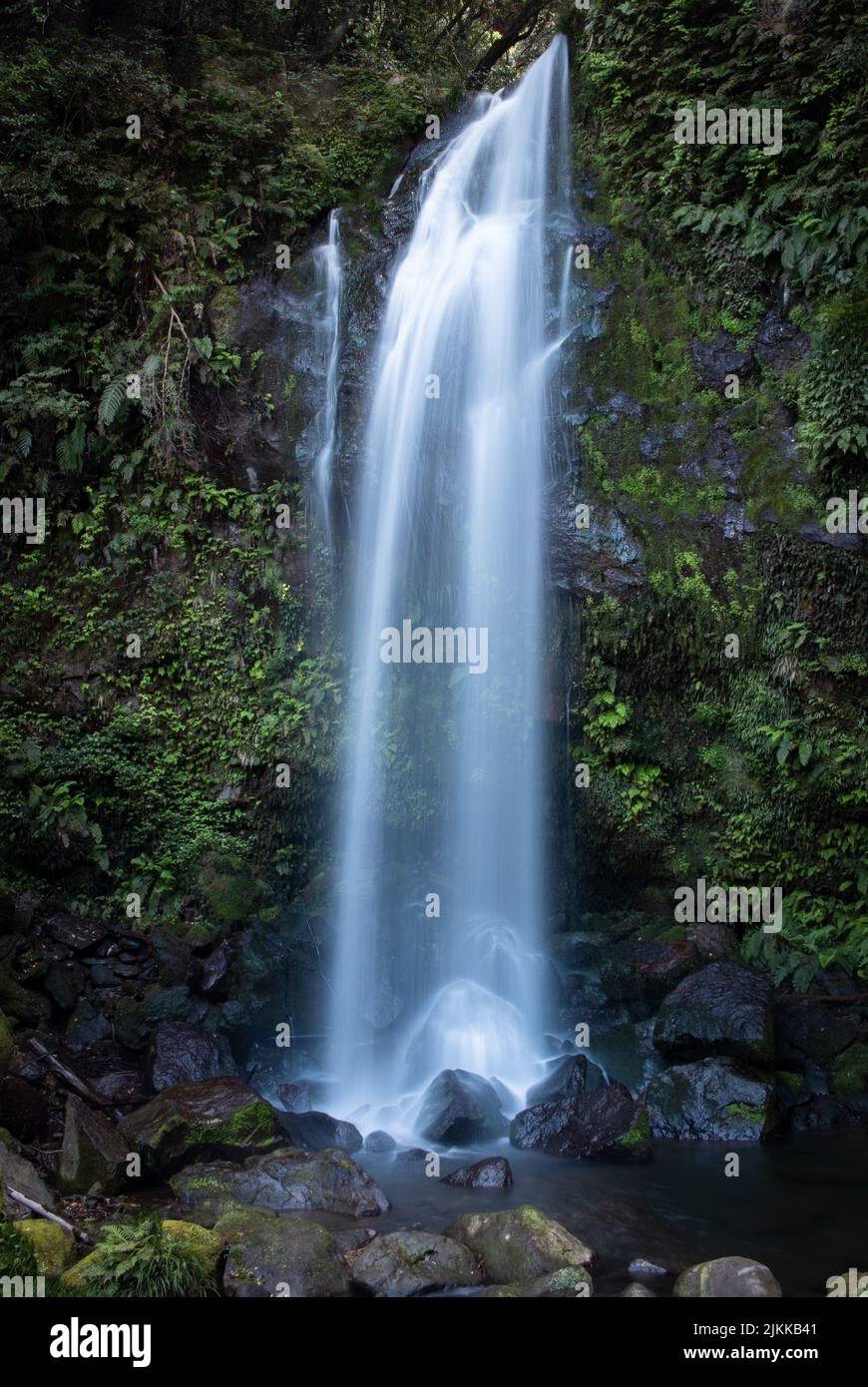 A vertical shot of beautiful waterfall flowing from mossy and rocky ...