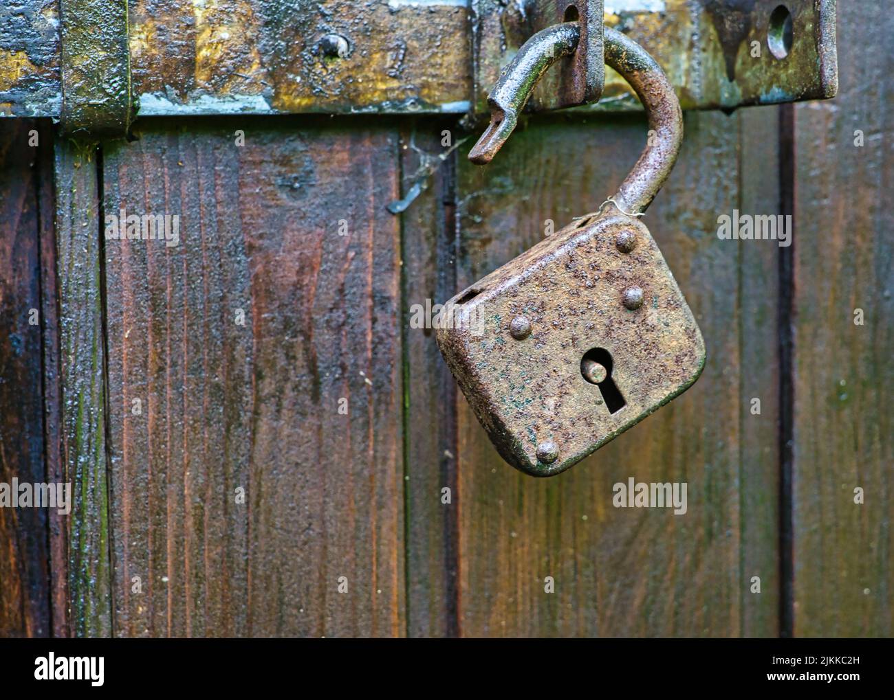 A closeup shot of aged opened lock on an old wooden gate Stock Photo ...