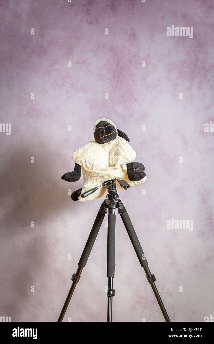 A designer camera case with tripod.vertical snapshot Stock Photo Alamy