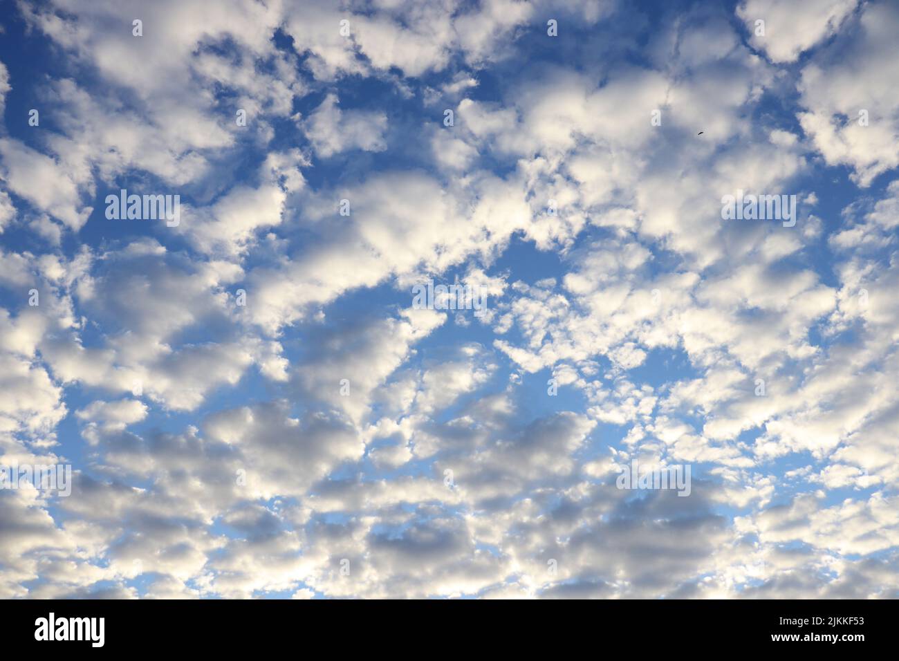 A low angle shot of the blue sky with cumulus clouds Stock Photo - Alamy