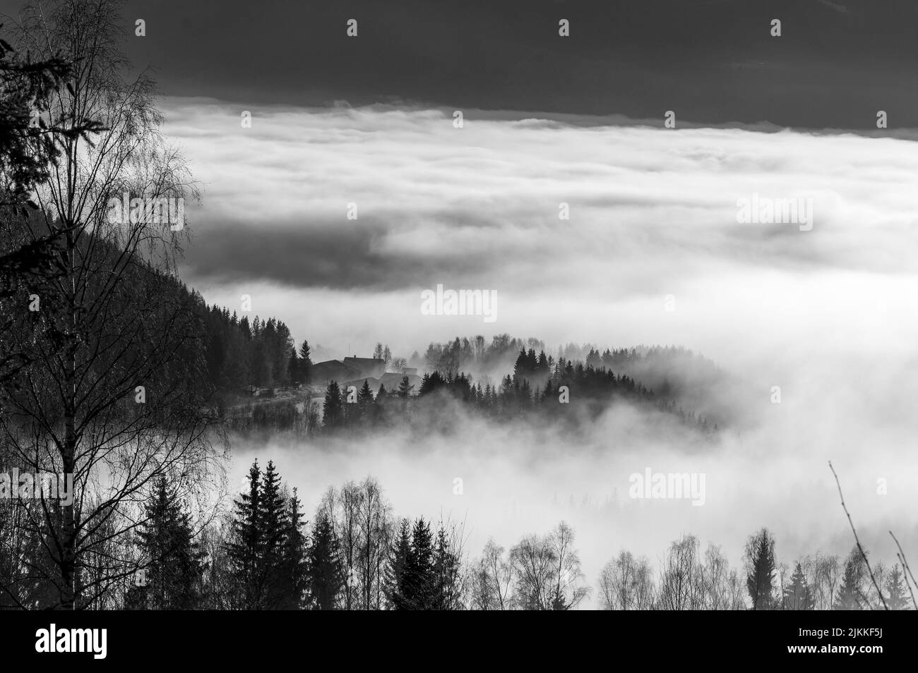 A dark foggy forest and hill in grayscale in Norway Stock Photo