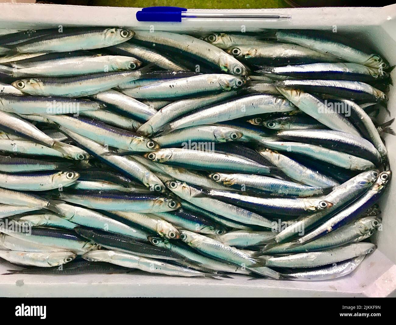 The anchovy fish for sale in street market Stock Photo