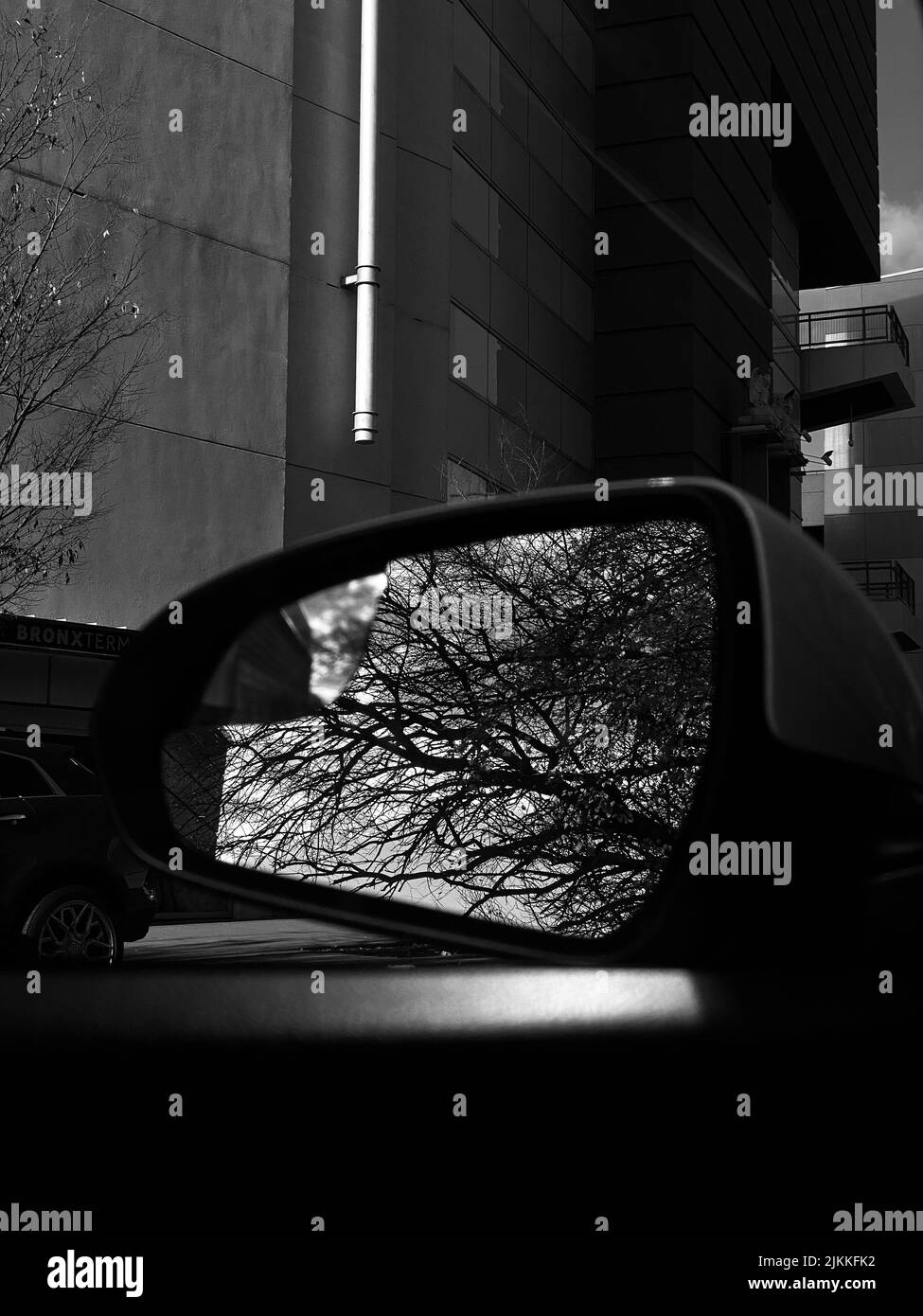 A reflection of a tree in the sideview mirror of a car Stock Photo Alamy