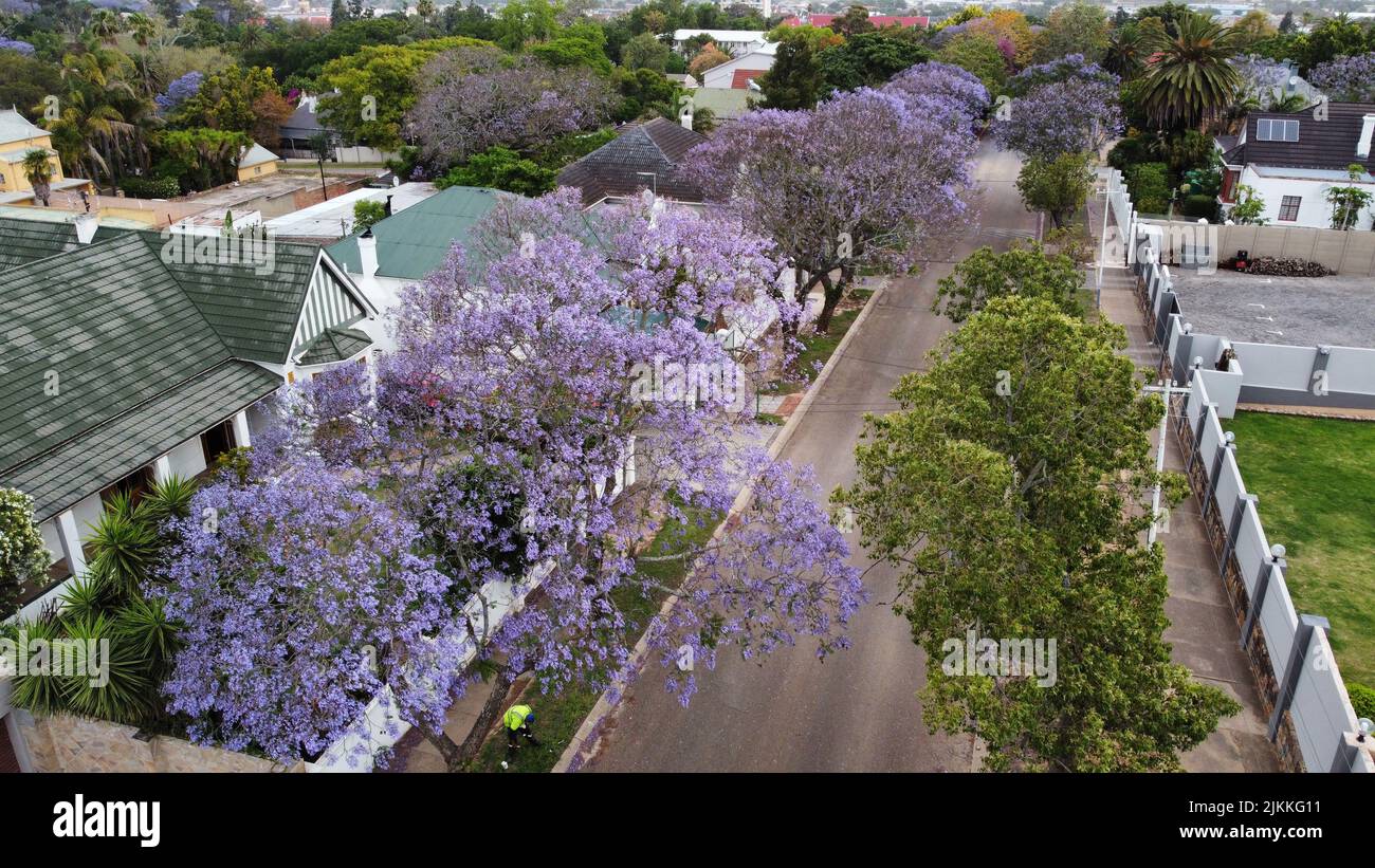 An aerial view of the Port Elizabeth, South Africa Stock Photo Alamy