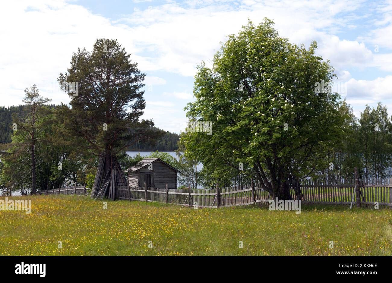 Wooden barn, a timber building, and wildflowers. Fence and rods. The