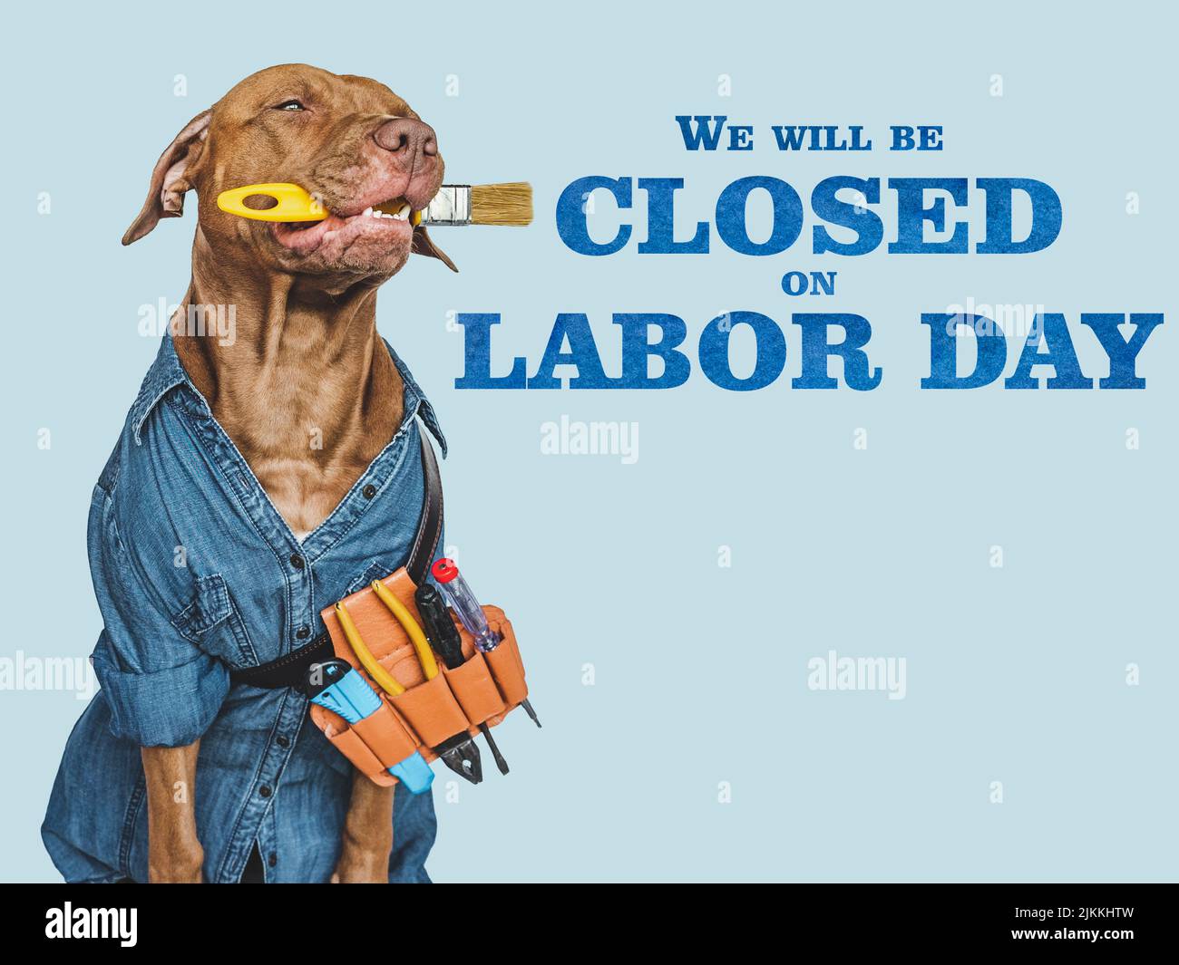 Signboard with the inscription We will be closed on Labor Day. Lovable, pretty puppy and hand