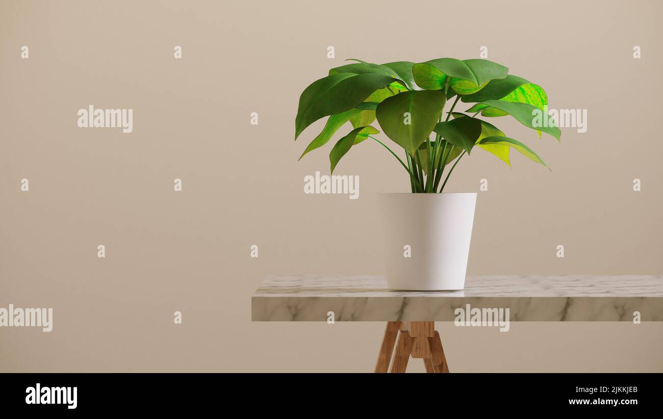 A white plants pot on granite table with wood stand against beige wall ...