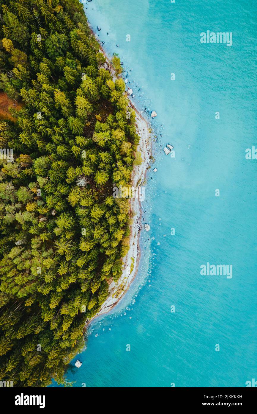 A vertical drone view of the green forest with a turquoise blue sea ...