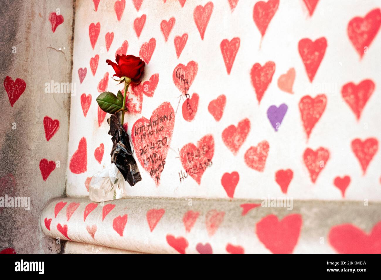 A closeup of the red hearts and a rose on the National Covid Memorial Wall in London, the UK Stock Photo