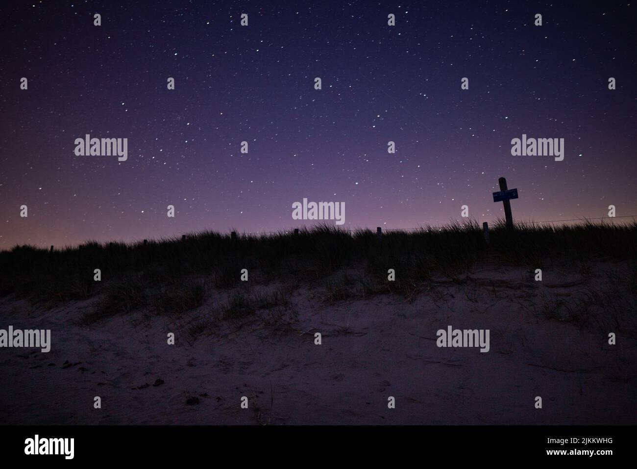 Aerial view forest night hi-res stock photography and images - Alamy