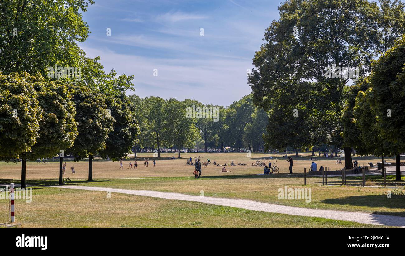 People spending a hot summer day in public parks in Cologne Stock Photo