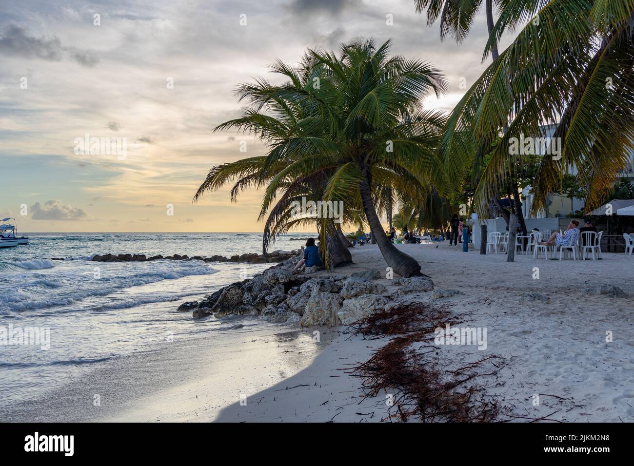 A beautiful shot of palm trees in the evening on Worthing Beach in Worthing, Barbados Stock Photo