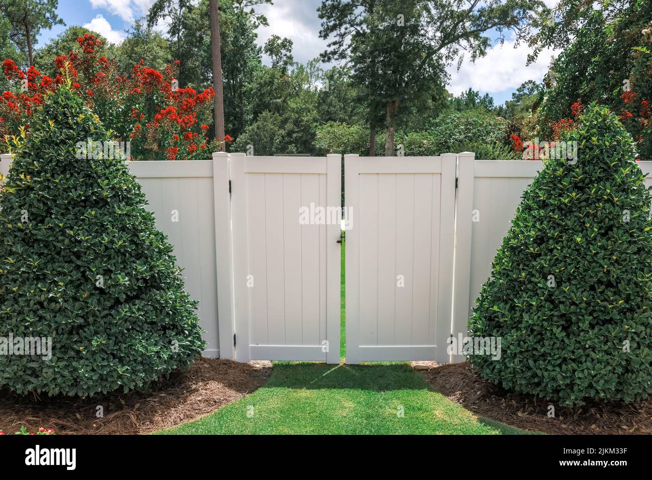 The opening to a white PVC tall fence for a backyard with sculpted and landscaped bushes on each side Stock Photo