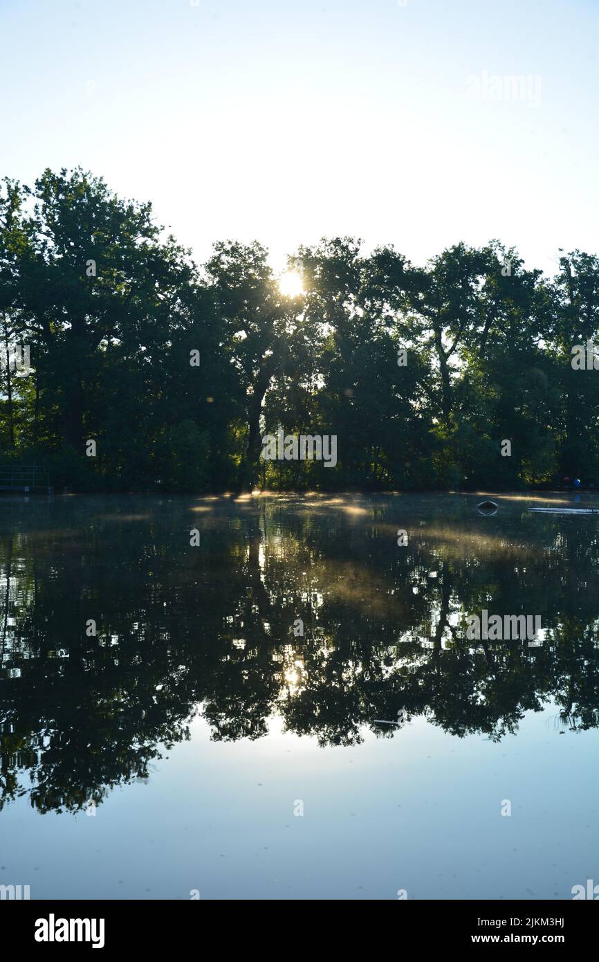 Vertical shot reflection trees hi-res stock photography and images - Alamy