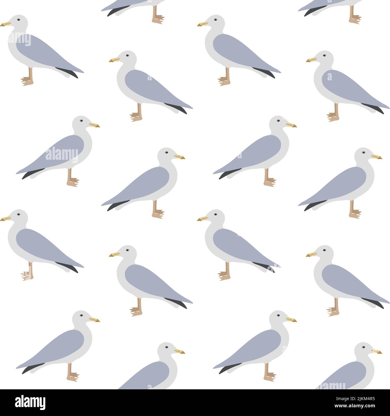 Vector seamless pattern of hand drawn flat seagull isolated on white ...