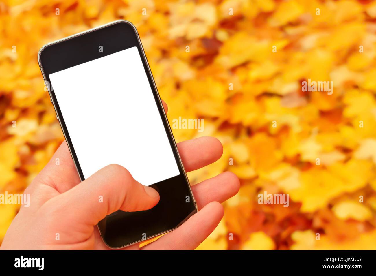 Autumn mobile phone mockup hand holding smartphone nature phone screen mockup smartphone blank screen hand phone blur background leaves falling sale Stock Photo
