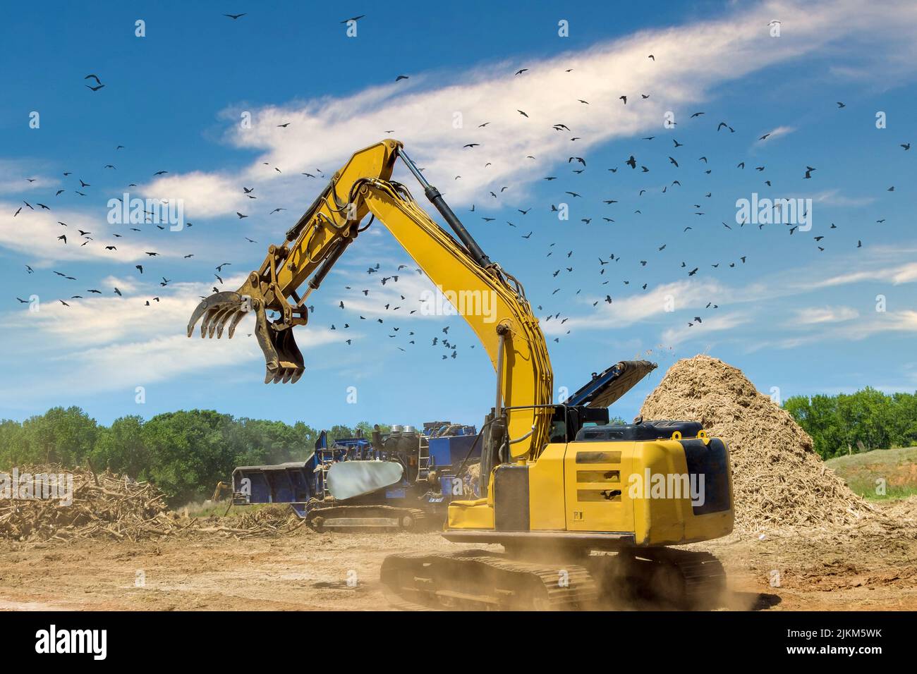 Holding and loading roots wood into a chipper shredder and grinding machine with a crane Stock Photo