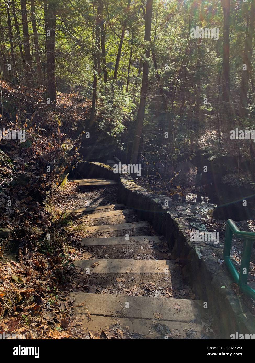 Vertical shot pathway leaves hi-res stock photography and images - Alamy